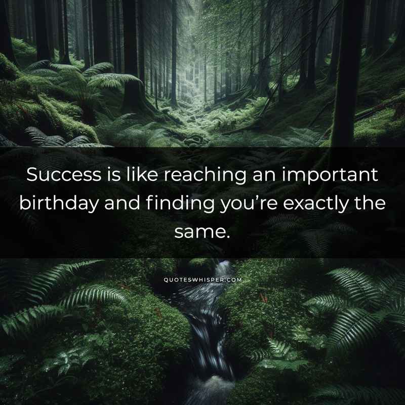 Success is like reaching an important birthday and finding you’re exactly the same.