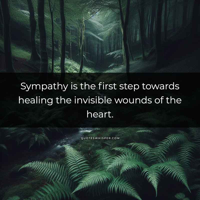 Sympathy is the first step towards healing the invisible wounds of the heart.