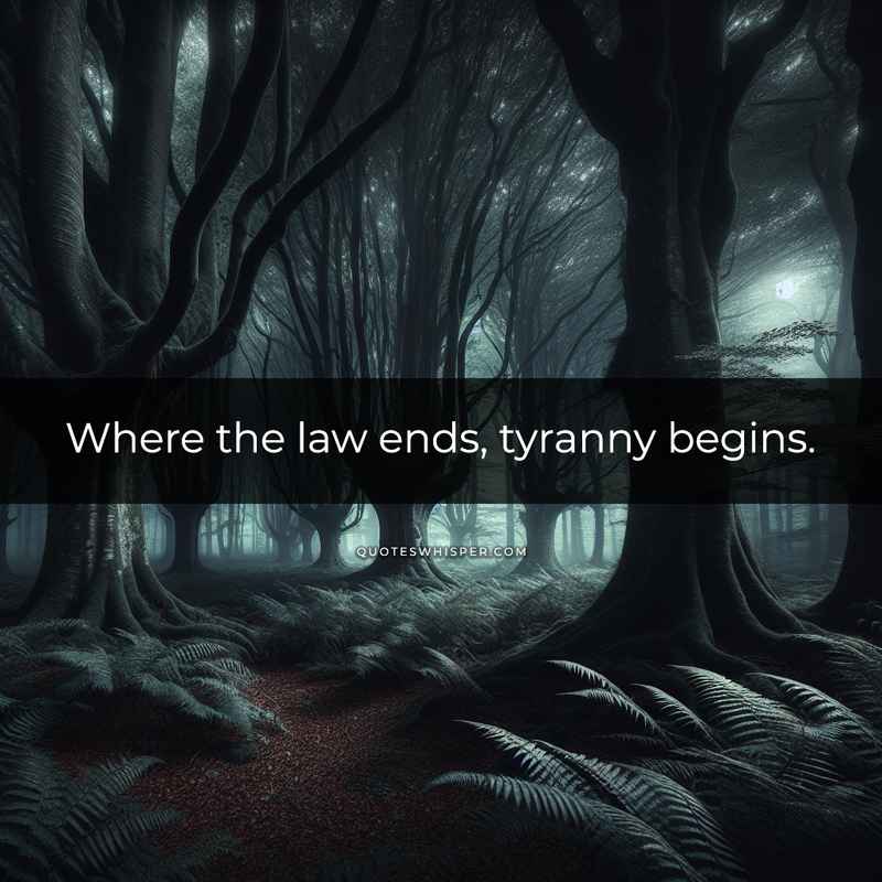 Where the law ends, tyranny begins.