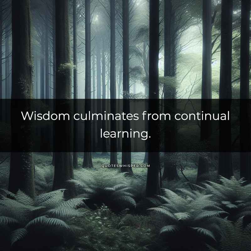Wisdom culminates from continual learning.