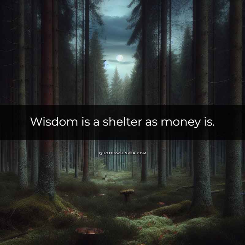 Wisdom is a shelter as money is.