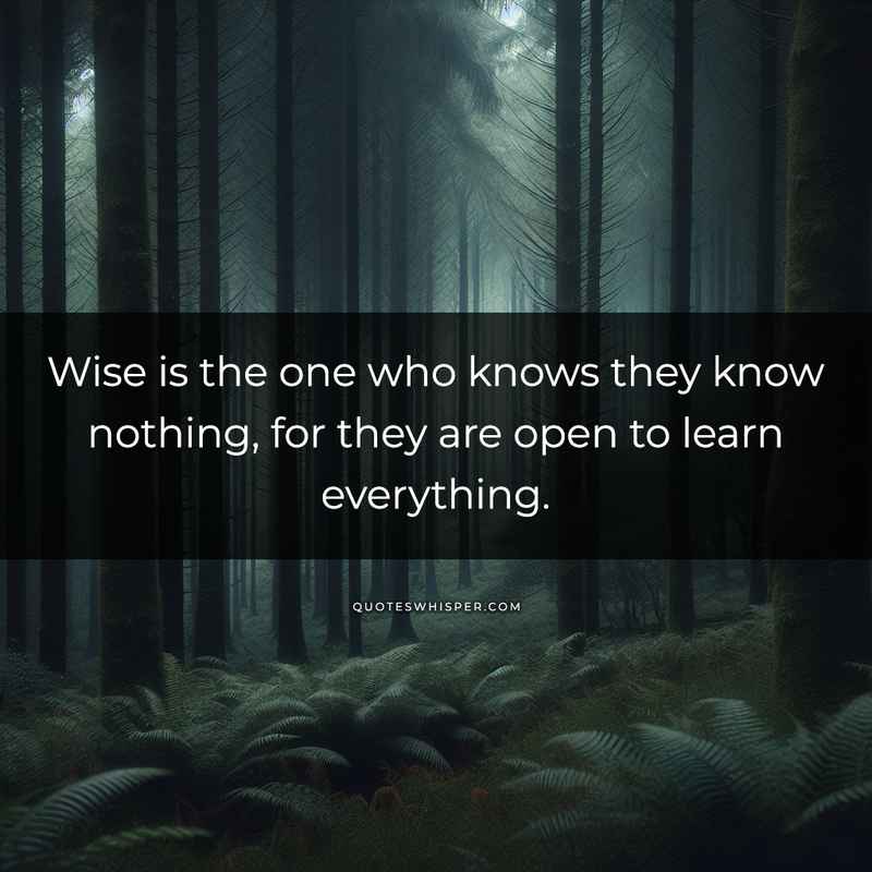 Wise is the one who knows they know nothing, for they are open to learn everything.
