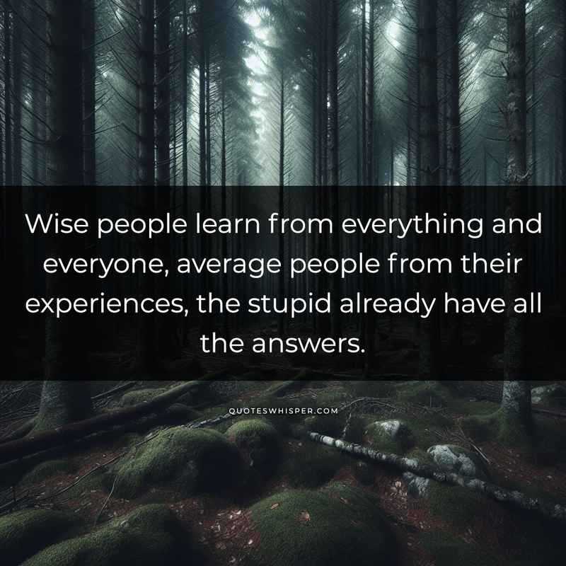 Wise people learn from everything and everyone, average people from their experiences, the stupid already have all the answers.