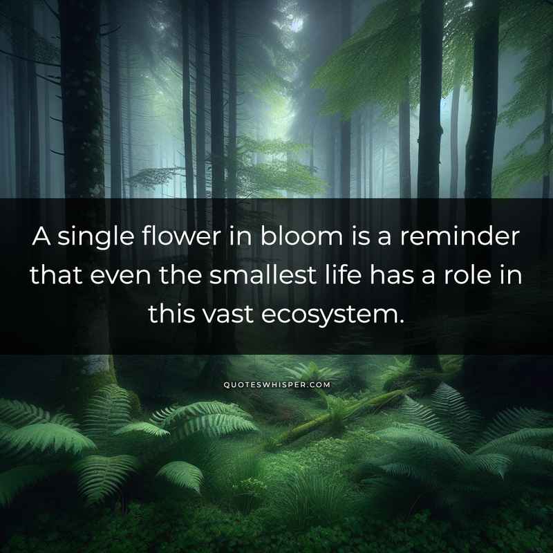 A single flower in bloom is a reminder that even the smallest life has a role in this vast ecosystem.