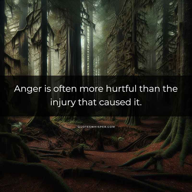 Anger is often more hurtful than the injury that caused it.