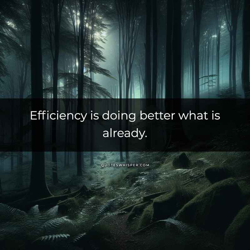 Efficiency is doing better what is already.