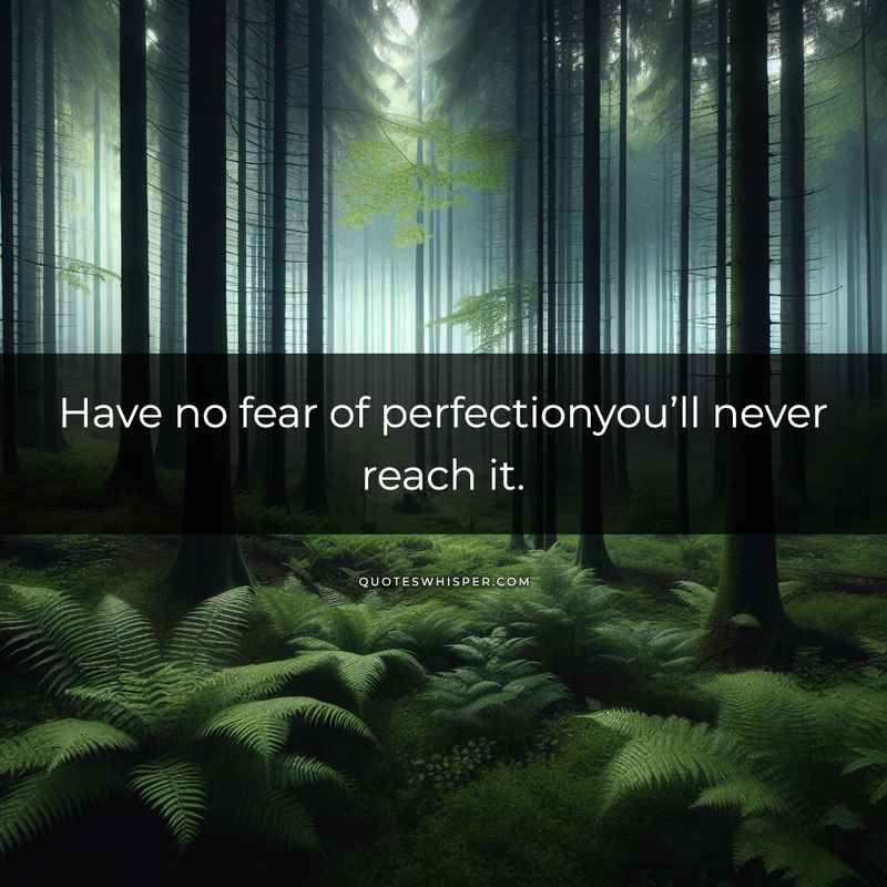 Have no fear of perfectionyou’ll never reach it.