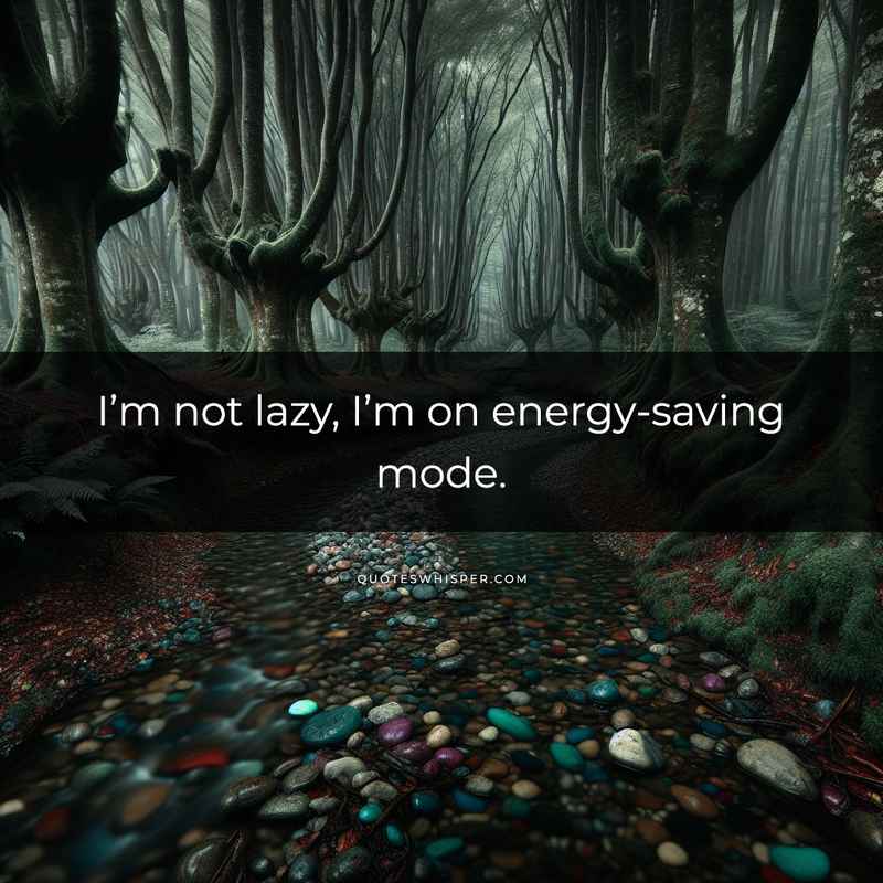I’m not lazy, I’m on energy-saving mode.