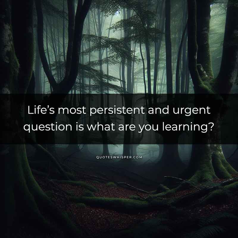 Life’s most persistent and urgent question is what are you learning?