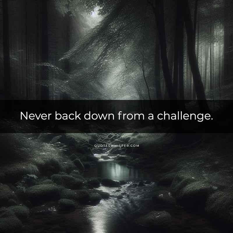 Never back down from a challenge.