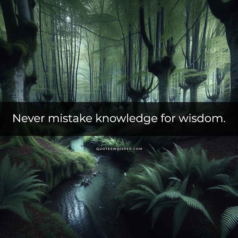 Never mistake knowledge for wisdom.