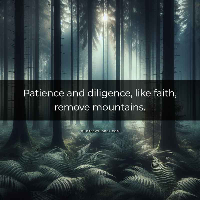 Patience and diligence, like faith, remove mountains.
