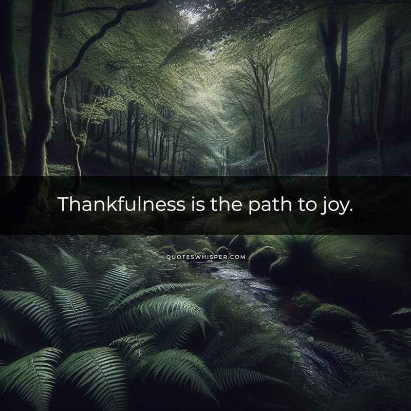 Thankfulness is the path to joy.
