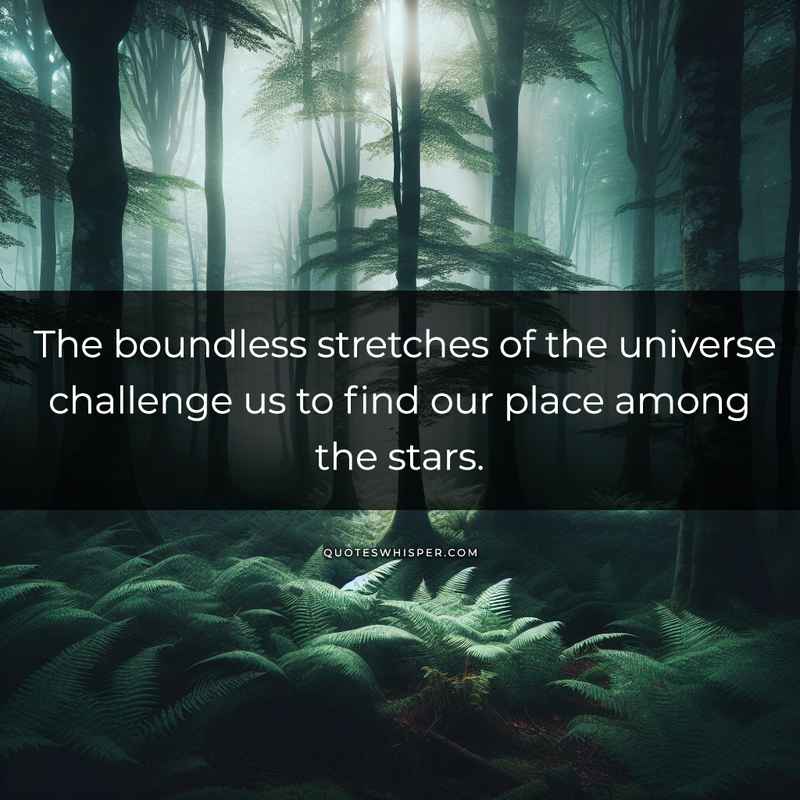 The boundless stretches of the universe challenge us to find our place among the stars.