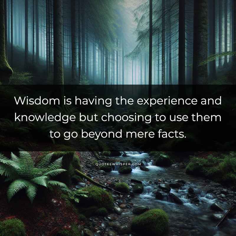 Wisdom is having the experience and knowledge but choosing to use them to go beyond mere facts.