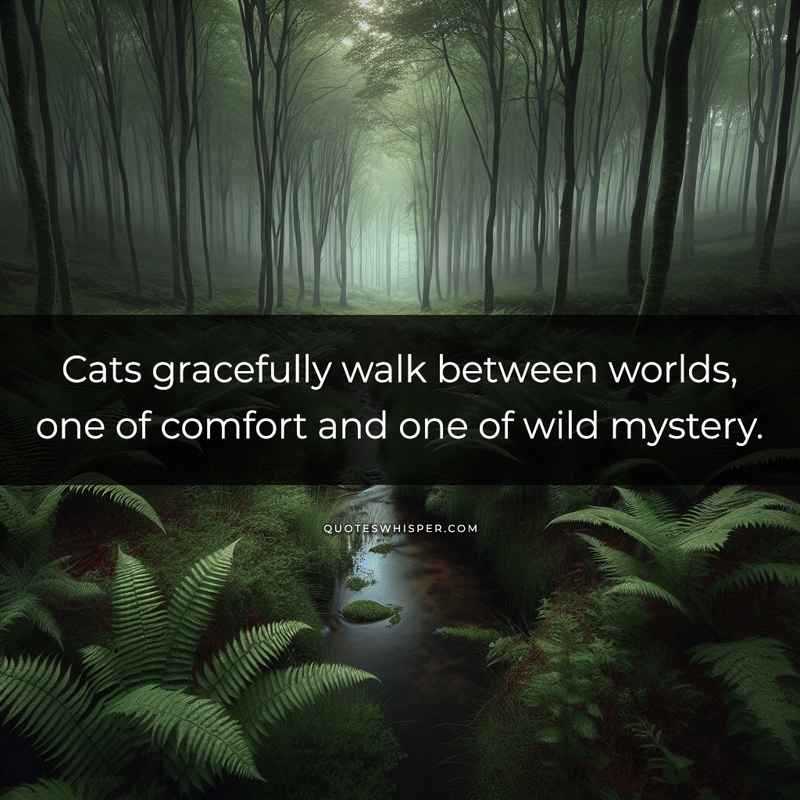 Cats gracefully walk between worlds, one of comfort and one of wild mystery.