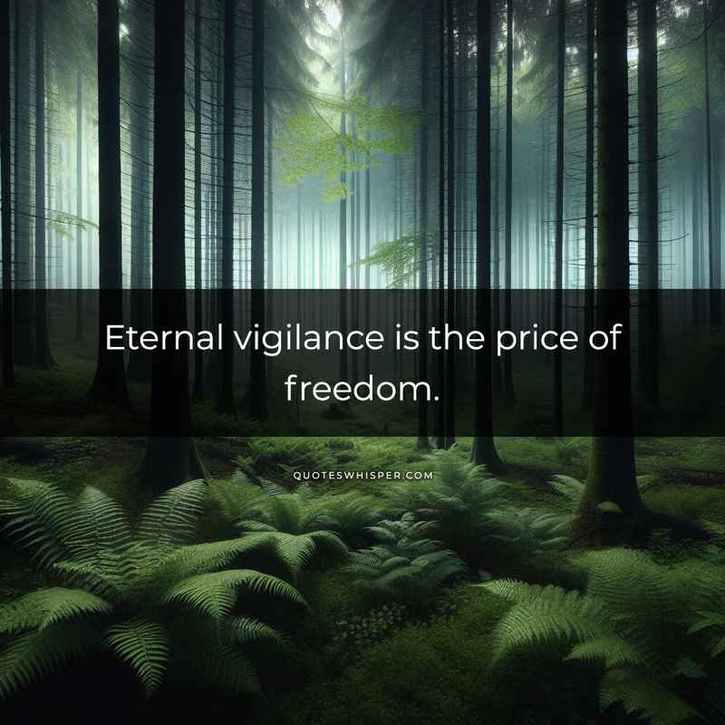 Eternal vigilance is the price of freedom.