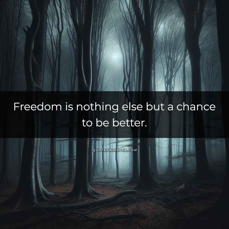 Freedom is nothing else but a chance to be better.