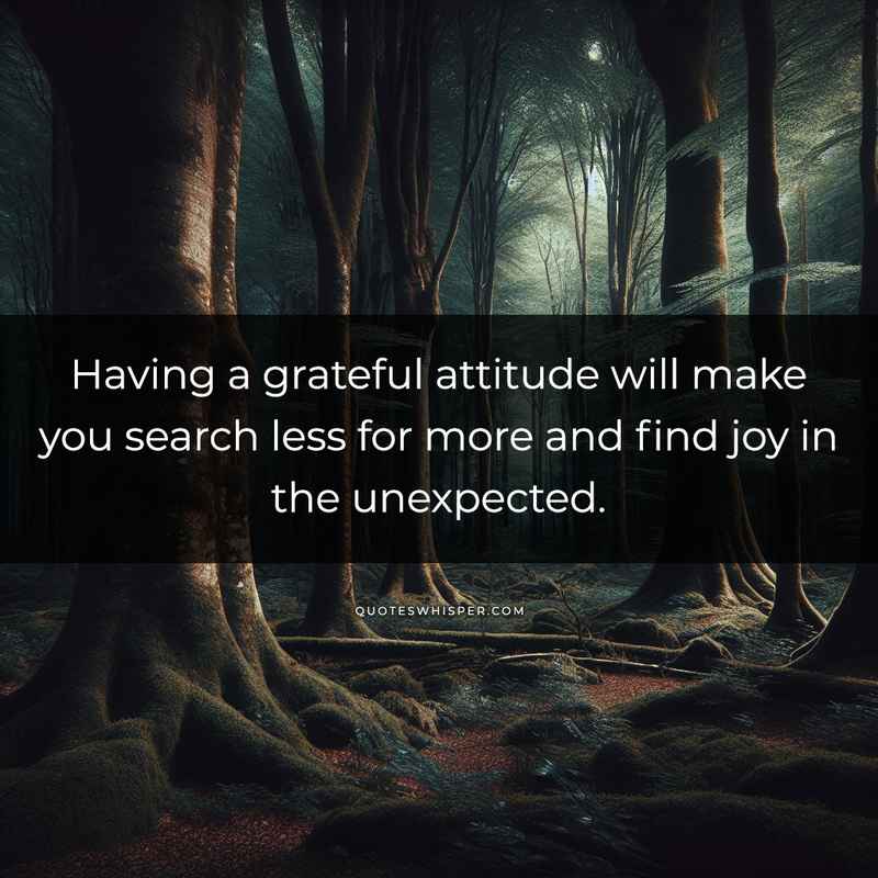 Having a grateful attitude will make you search less for more and find joy in the unexpected.