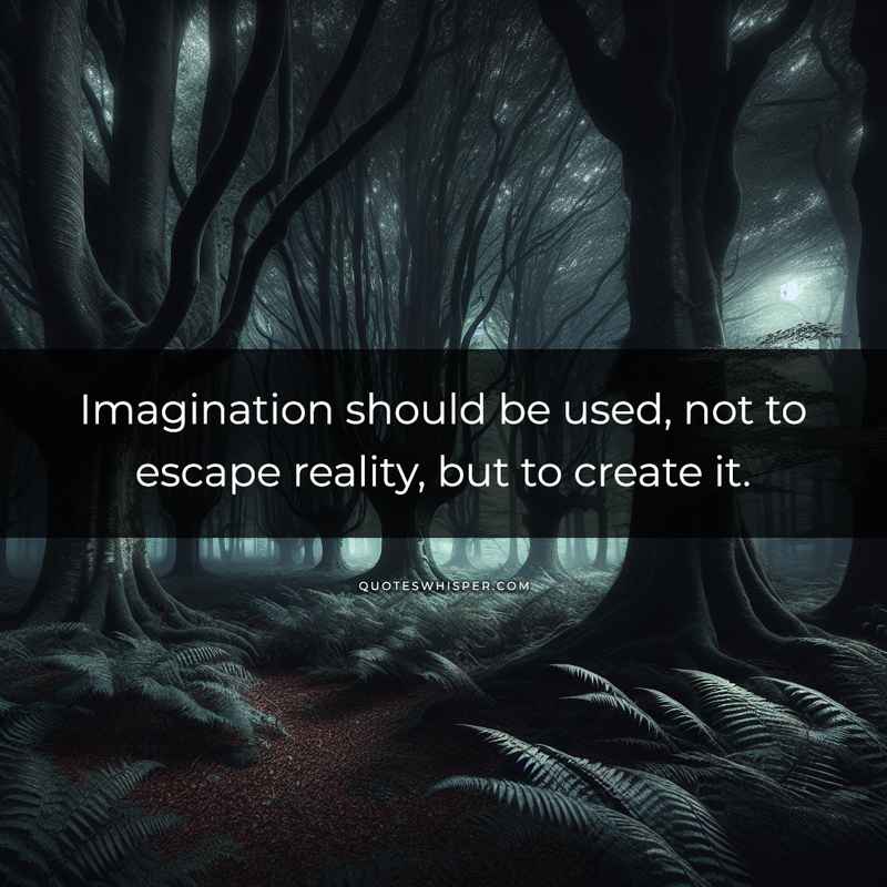 Imagination should be used, not to escape reality, but to create it.