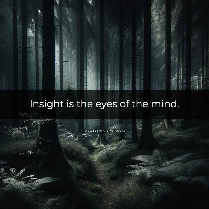 Insight is the eyes of the mind.
