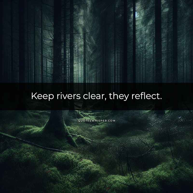 Keep rivers clear, they reflect.