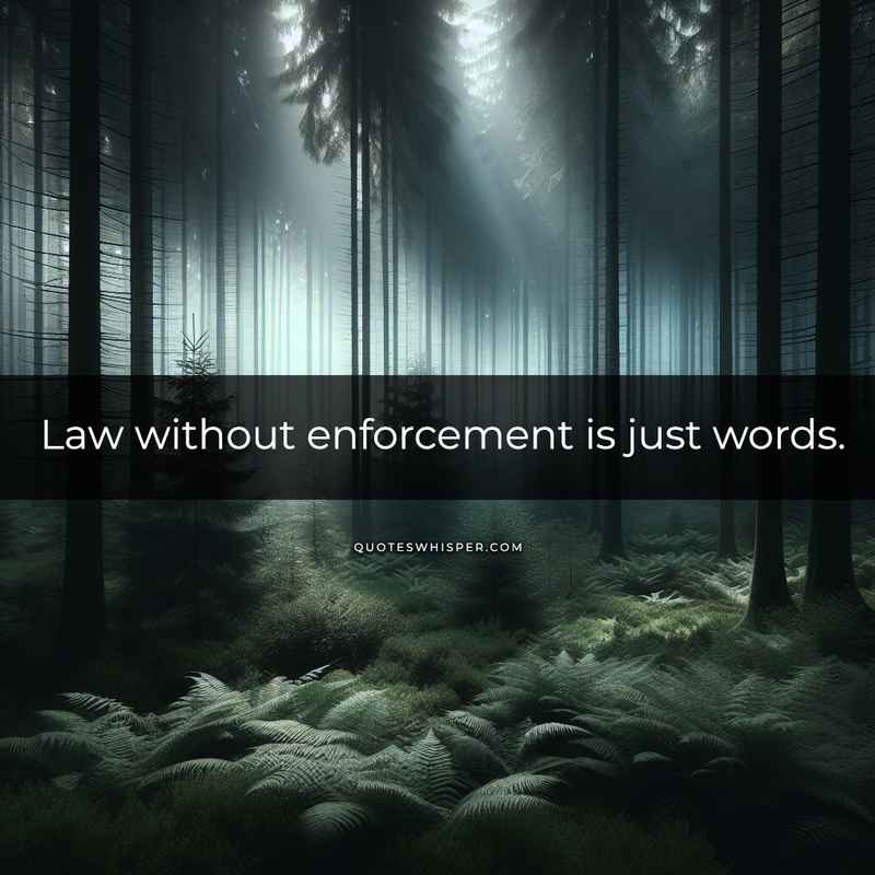 Law without enforcement is just words.