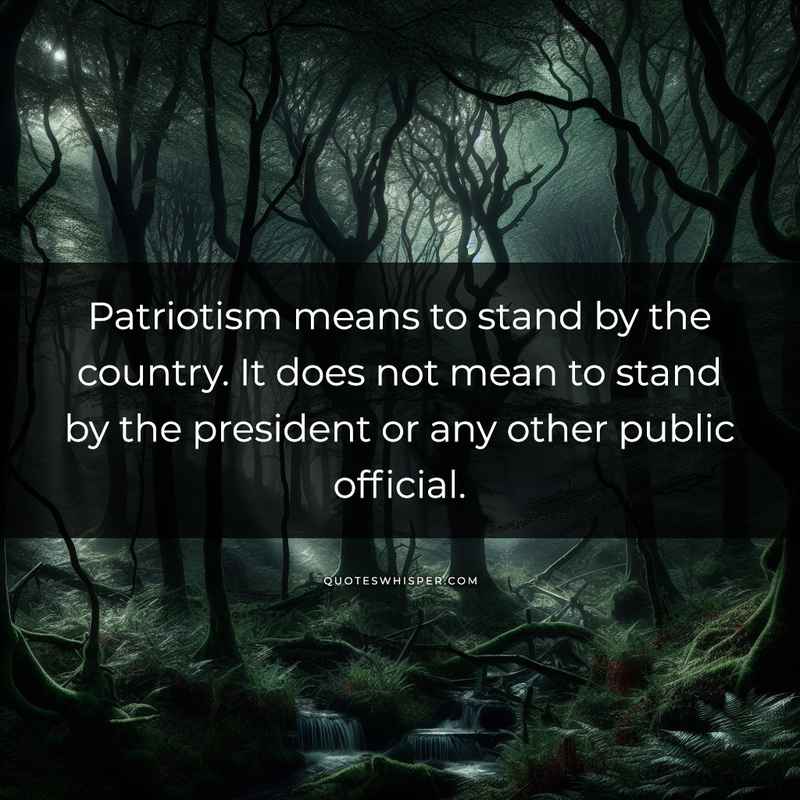 Patriotism means to stand by the country. It does not mean to stand by the president or any other public official.