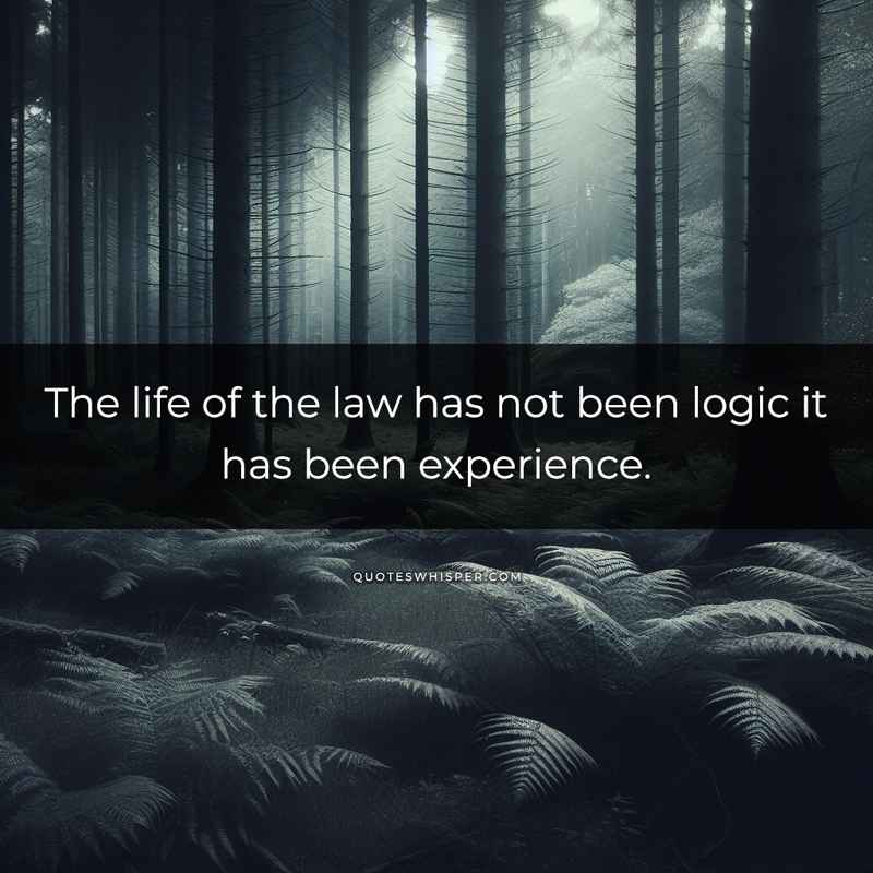 The life of the law has not been logic it has been experience.