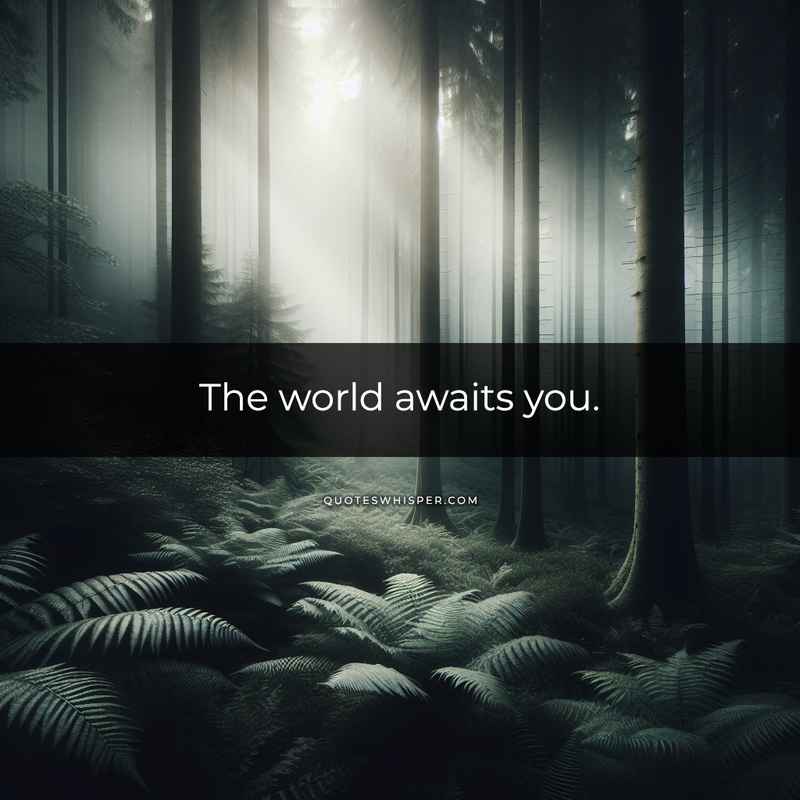 The world awaits you.