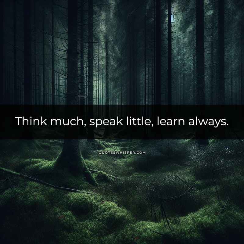 Think much, speak little, learn always.