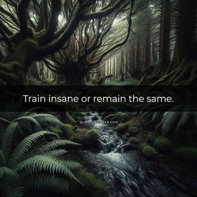 Train insane or remain the same.