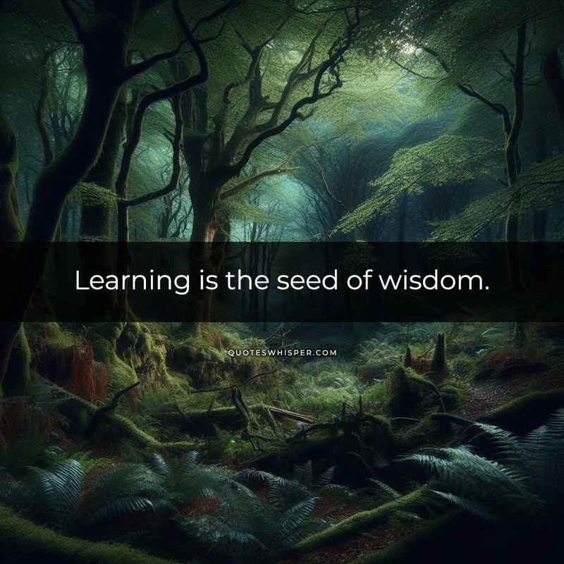 Learning is the seed of wisdom.
