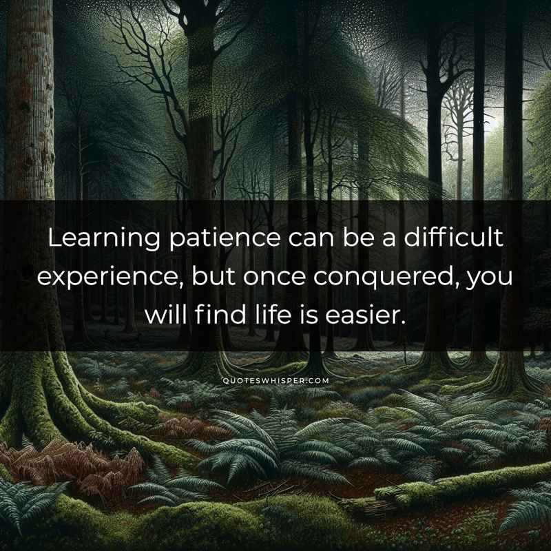 Learning patience can be a difficult experience, but once conquered, you will find life is easier.