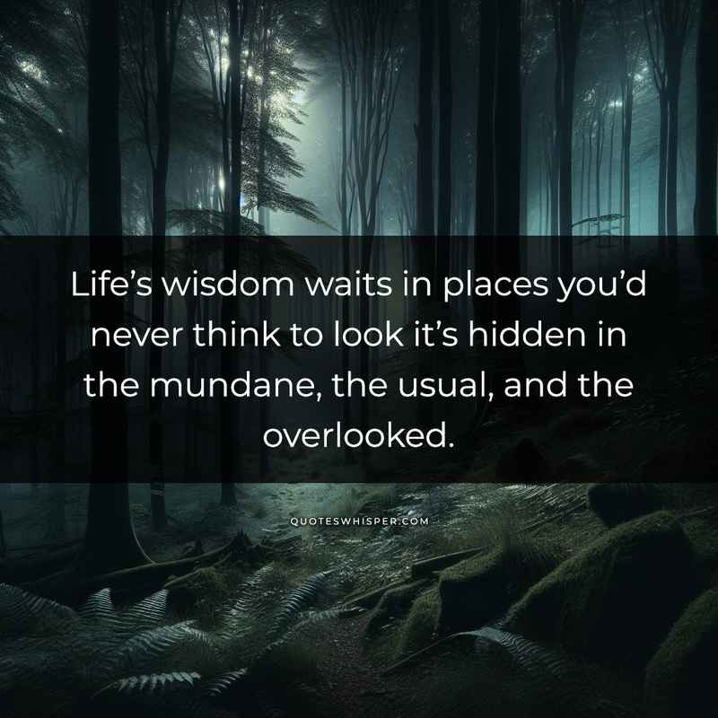 Life’s wisdom waits in places you’d never think to look it’s hidden in the mundane, the usual, and the overlooked.