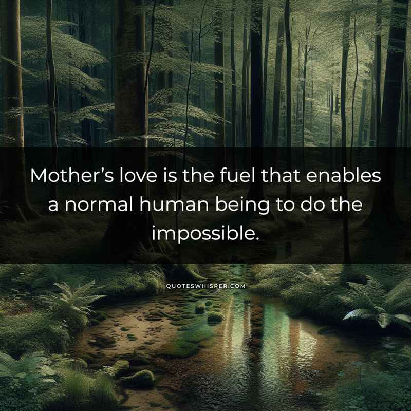 Mother’s love is the fuel that enables a normal human being to do the impossible.