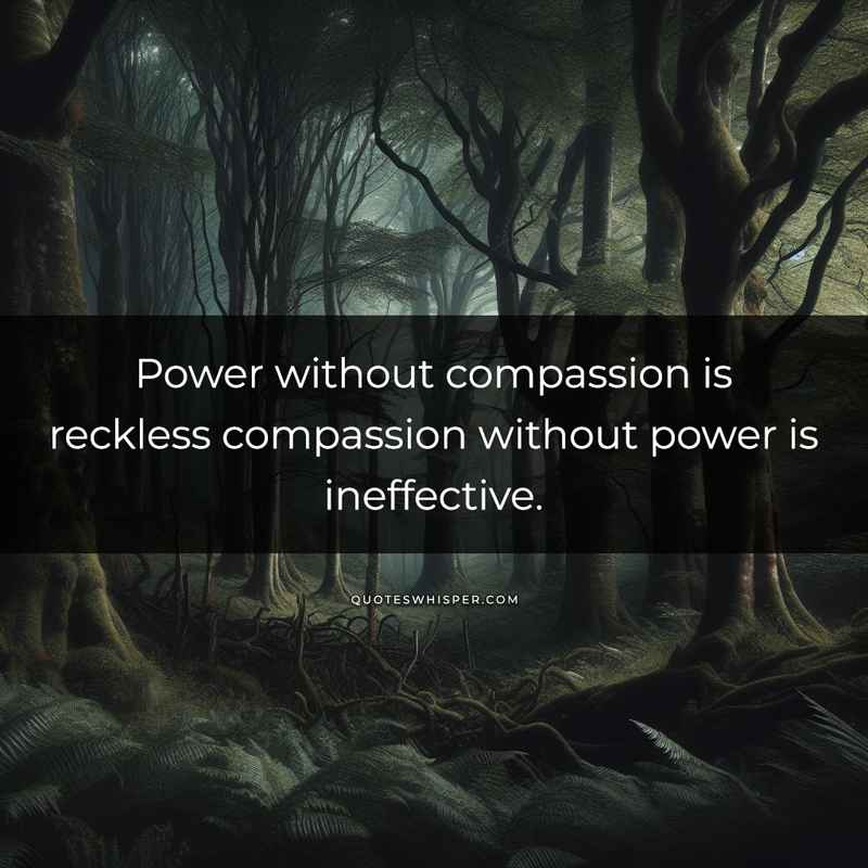 Power without compassion is reckless compassion without power is ineffective.