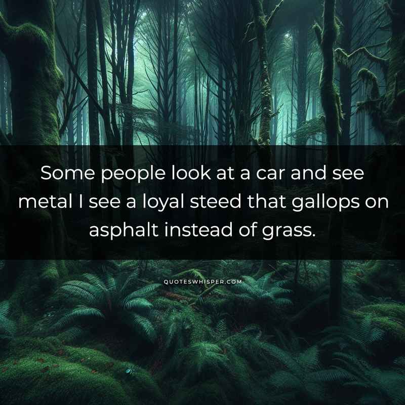 Some people look at a car and see metal I see a loyal steed that gallops on asphalt instead of grass.