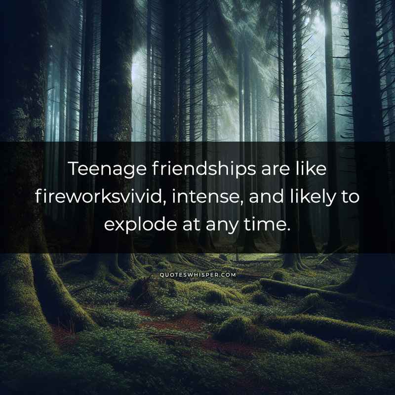 Teenage friendships are like fireworksvivid, intense, and likely to explode at any time.