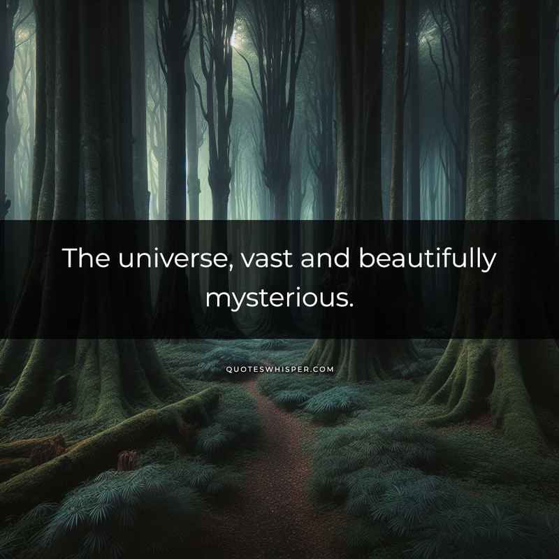 The universe, vast and beautifully mysterious.
