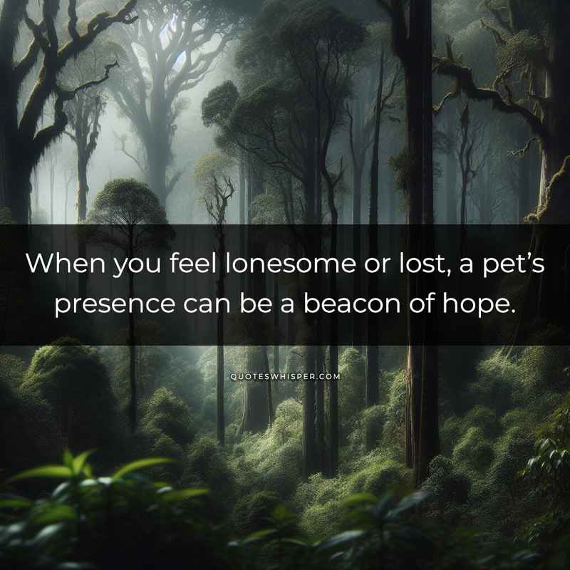 When you feel lonesome or lost, a pet’s presence can be a beacon of hope.