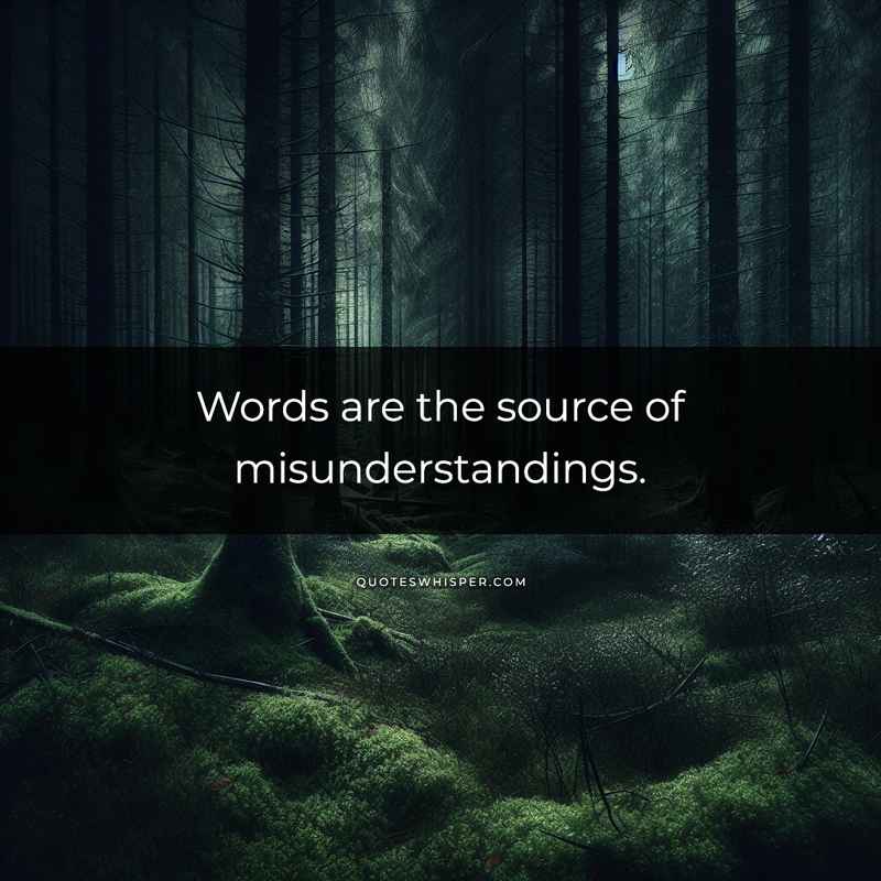 Words are the source of misunderstandings.
