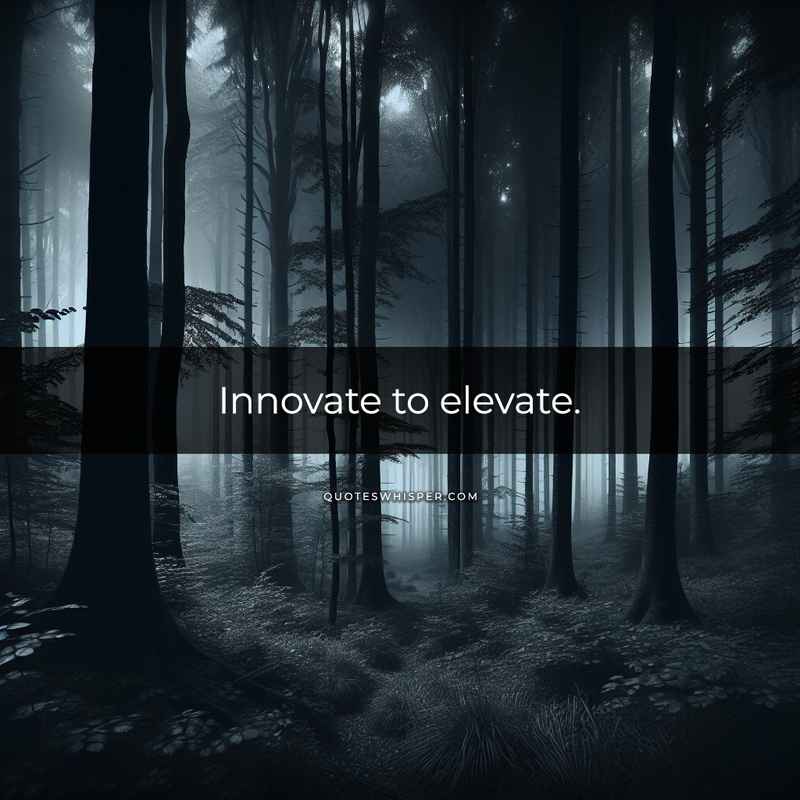 Innovate to elevate.
