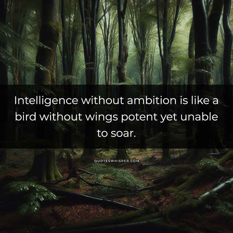 Intelligence without ambition is like a bird without wings potent yet unable to soar.