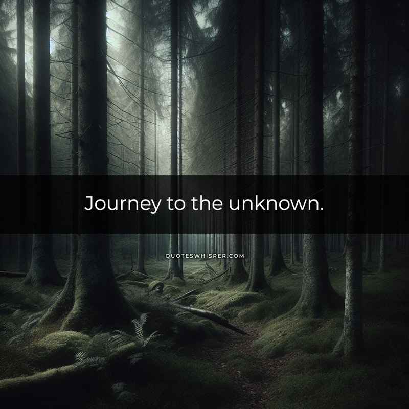 Journey to the unknown.