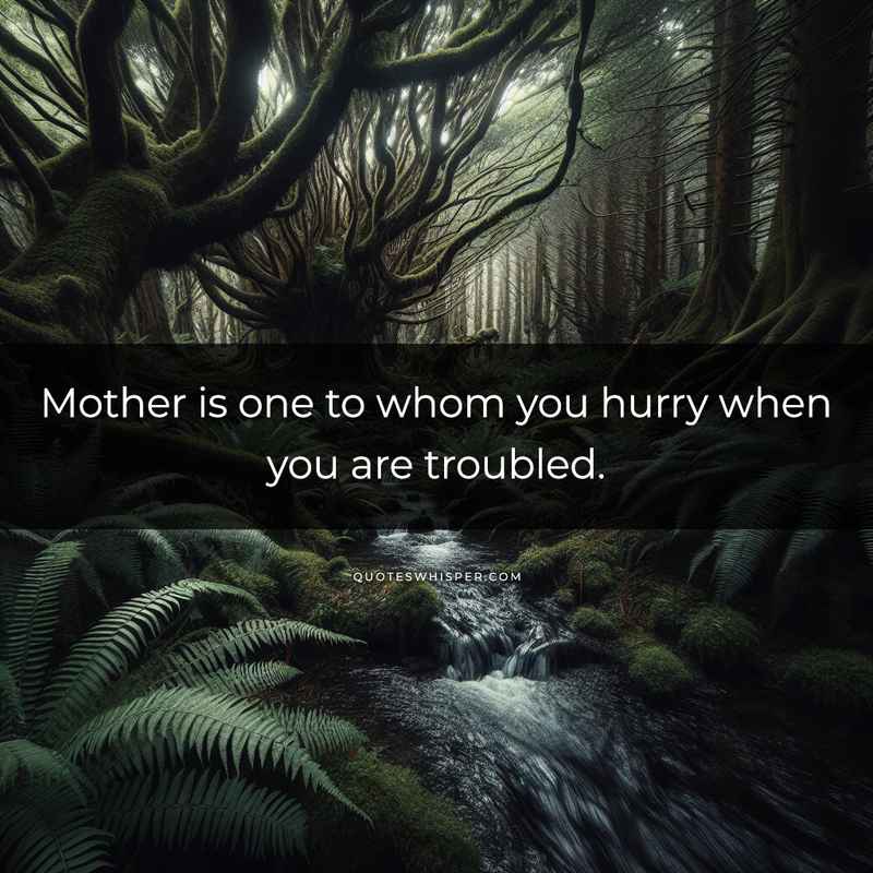 Mother is one to whom you hurry when you are troubled.
