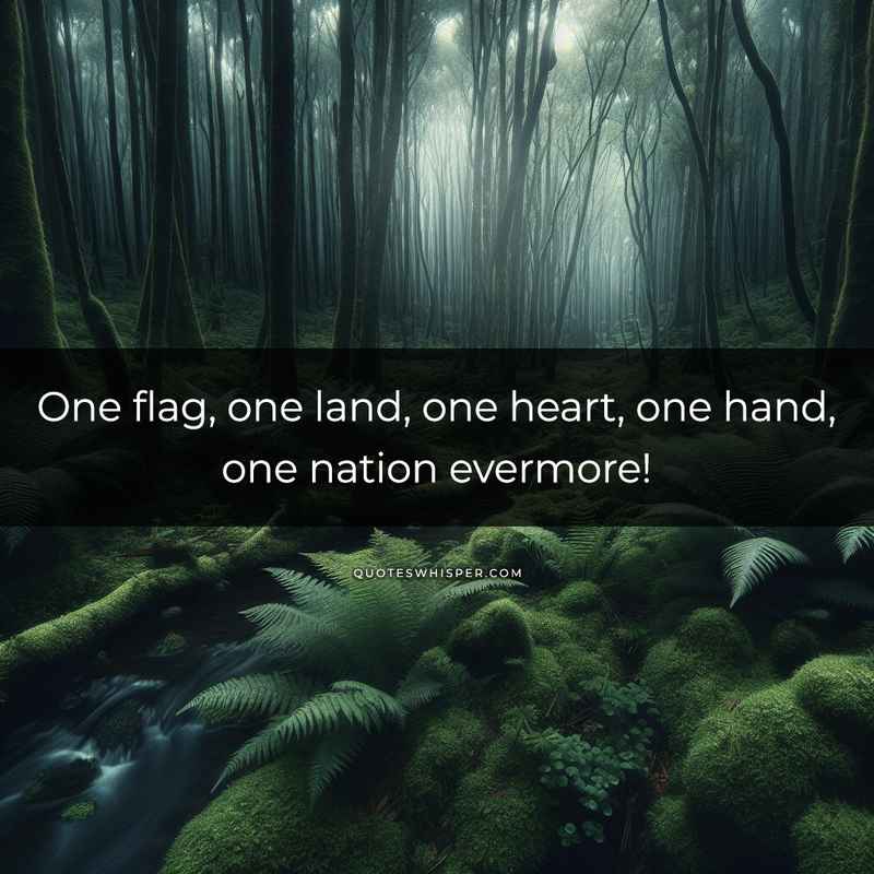 One flag, one land, one heart, one hand, one nation evermore!