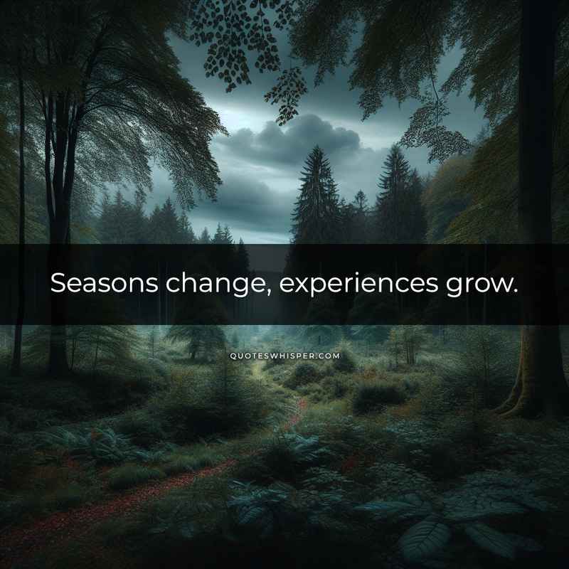 Seasons change, experiences grow.