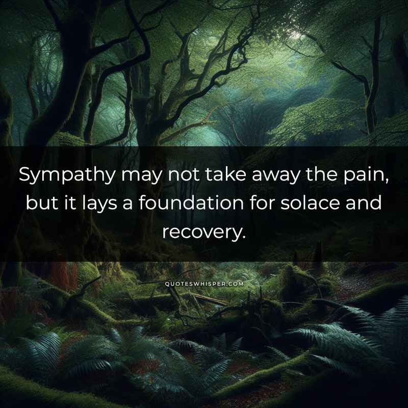 Sympathy may not take away the pain, but it lays a foundation for solace and recovery.