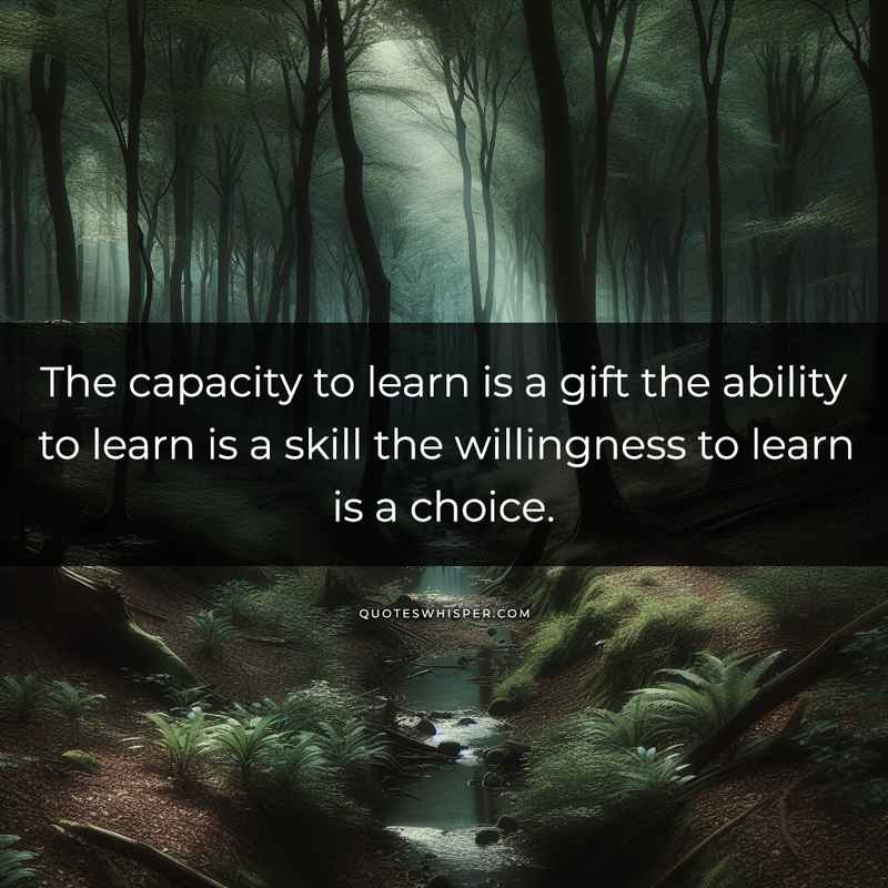 The capacity to learn is a gift the ability to learn is a skill the willingness to learn is a choice.